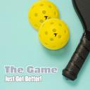 Pickleball (Pack of 2)