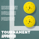 Pickleball (Pack of 2)